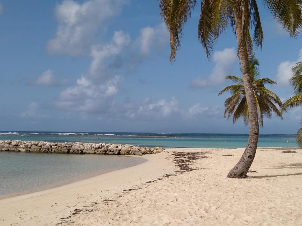 Appartements: Plage & Commerces A 200M サンタンヌ エクステリア 写真